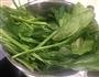 宫廷秘制菠菜的做法图解2