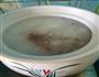 砂锅皮蛋瘦肉粥的做法图解7