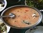 番茄草鱼汤的做法图解4