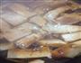 肉丝豆腐的做法图解6