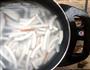 滋补养生椰子鸡煲的做法图解11