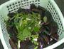 黄油罗勒炒海虹的做法图解1