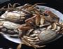 大闸蟹的做法图解4