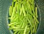 干煸四季豆的做法图解1