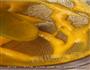 芒果布丁的做法图解6