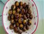炒栗子的做法图解1