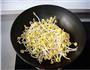 干煸黄豆芽的做法图解2