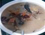 茶树菇乌鸡汤的做法图解5