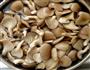 素炒平菇的做法图解1