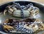 清蒸大闸蟹的做法图解2