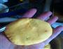 南瓜饼的做法图解5