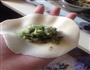 芹菜猪肉手工水饺的做法图解14