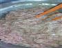肉丸的做法图解4