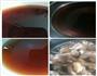 茶鸡普洱汤的做法图解1