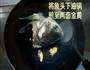鱼头豆腐汤的做法图解3