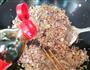 洋葱菜圃肉酱的做法图解11