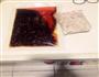 菜鸟食谱东北麻辣拌的做法图解2