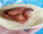 蜜汁叉烧包的做法步骤11