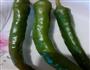 野生菌炒辣椒的做法图解3