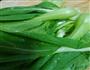 荤素混合菜的做法图解5