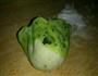 翡翠白菜饺子的做法图解14