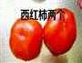 番茄猪腰子汤的做法图解2