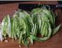 卷心菜炒粉丝的做法图解1