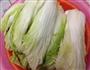 韩国泡菜的做法图解3