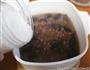 红豆薏米汤的做法图解4