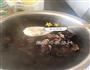 凉拌木耳的做法图解4