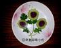 苦中作乐的做法图解9