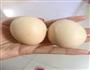 糯米甜饼的做法图解2