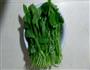 蒜蓉蚝油橄榄菜的做法图解1
