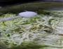 葫芦饼-电饼裆的做法图解6