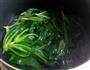 鲜嫩白焯菠菜的做法图解3