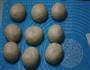 豆沙花卷面包的做法图解8