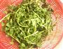 蒜茸炒西洋菜的做法图解1