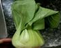 香菇油菜的做法图解1