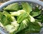 香菇油菜的做法图解2