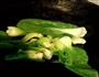 香菇油菜的做法图解3