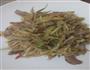 小炒茭白丝的做法图解5