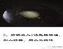 栗子五花肉的做法图解2