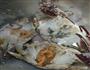 生腌梭子蟹的做法图解2