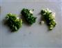酸菜杏鲍菇的做法图解1
