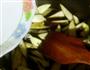 红烧茄子豆腐的做法图解5