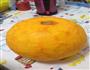 南瓜花式馒头的做法图解1