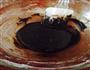 巧克力慕斯的做法图解4