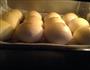奶香软面包的做法图解24