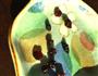 凉拌冰草的做法图解2