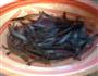 汕头虾枣的做法图解1